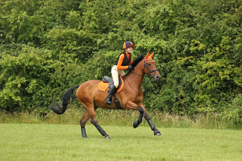Hy Sport Active Fly Veil - Terracotta Orange-1